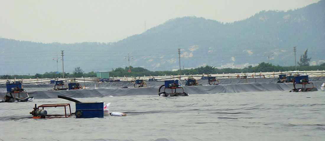 射流泵